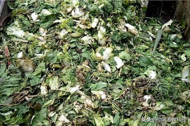 果蔬廢棄物垃圾怎樣進(jìn)行科學(xué)資源化無害化減量化處理？